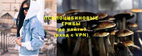 не бодяженный Бородино